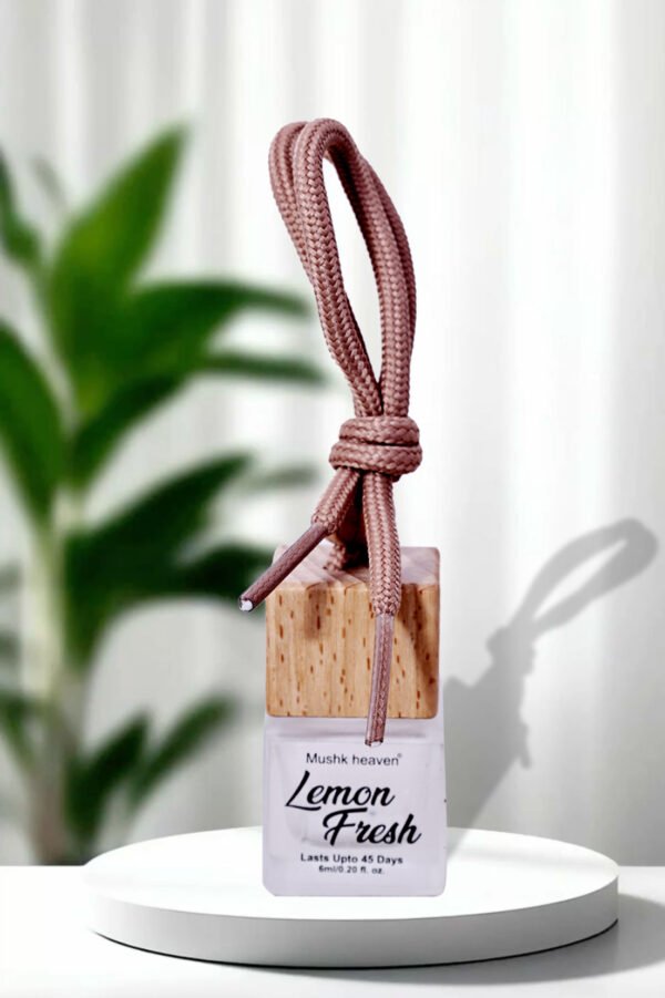 Car Perfume Hanging Pod